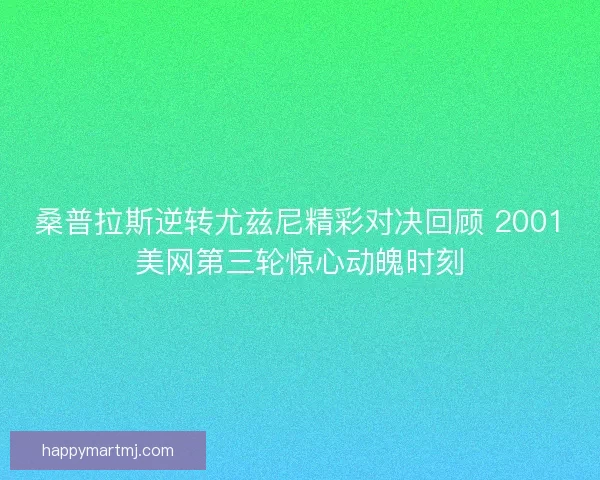 桑普拉斯逆转尤兹尼精彩对决回顾 2001美网第三轮惊心动魄时刻 桑普拉斯逆转尤兹尼精彩对决回顾 2001美网第三轮惊心动魄时刻